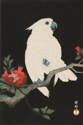 Ohara Koson - Cockatoo and Pomegranate, 1927